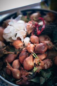 High angle view of vegetables in container