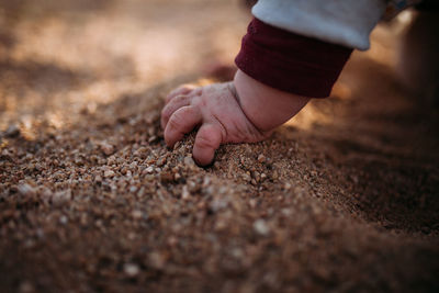 Low section of baby hand holding sand