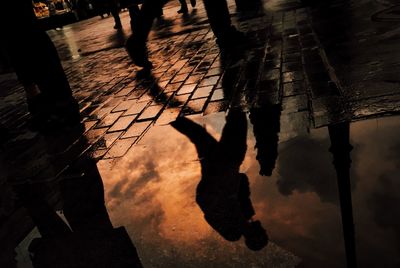 Close-up of shadow on water