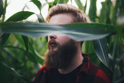 Close-up of senior man on plant