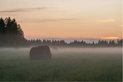 Scenic view of landscape against sky during sunset