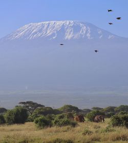 Scenic view of landscape against sky