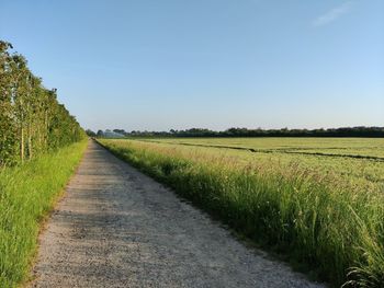 Dirt road amidst agricultural field against sky