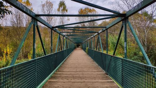 View of footbridge along trees