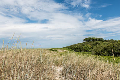 Scenic view of sea against cloudy sky