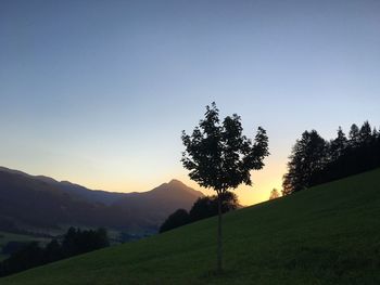 Scenic view of landscape against clear sky