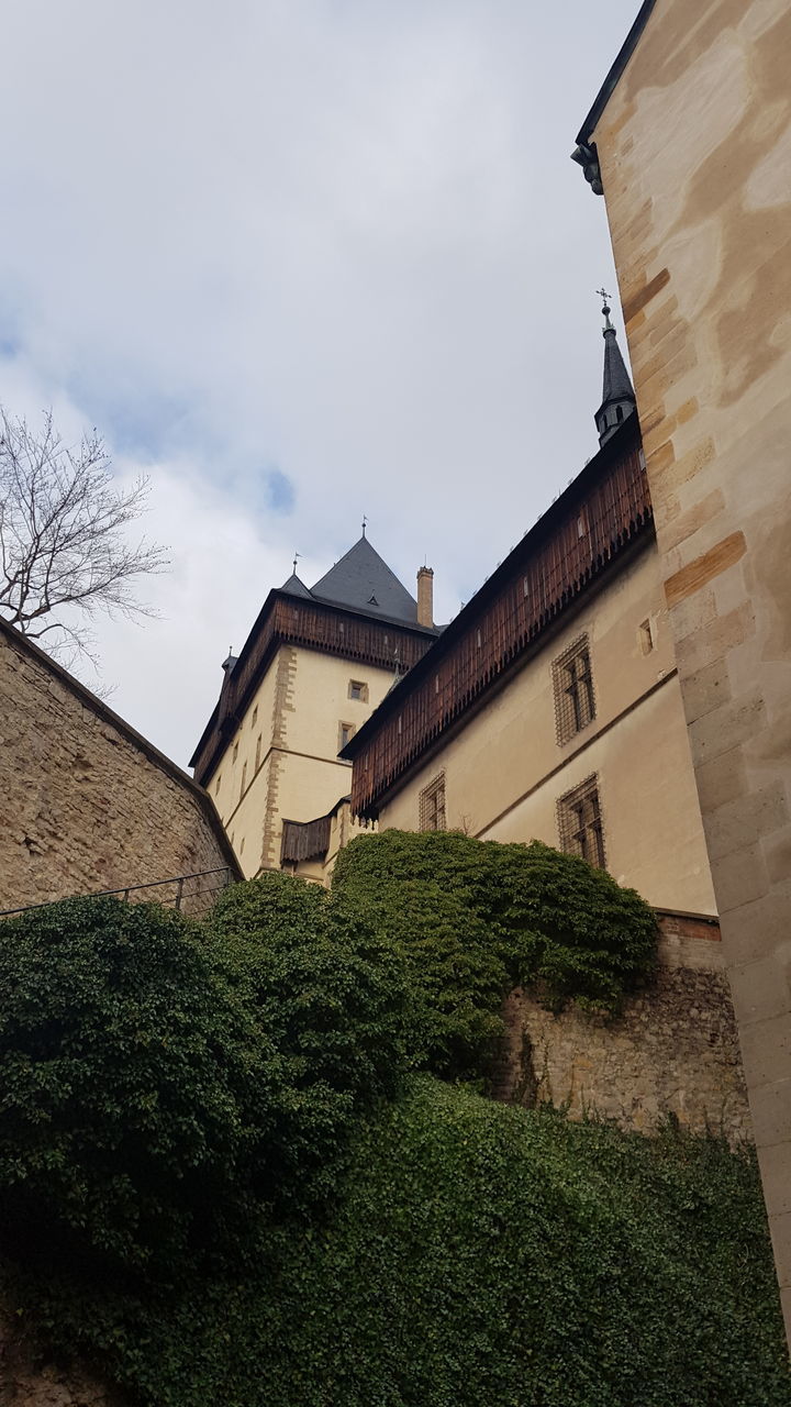 LOW ANGLE VIEW OF HOUSES AGAINST SKY