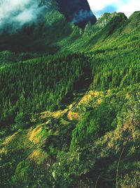 Scenic view of green landscape against sky