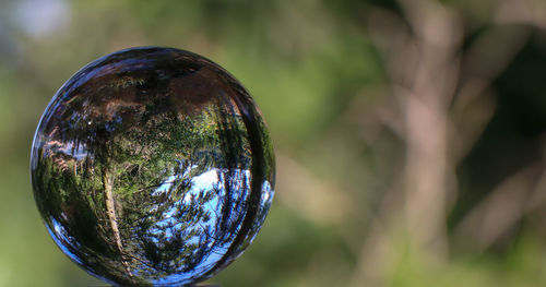Close-up of crystal ball on glass