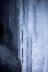 Close-up of icicles