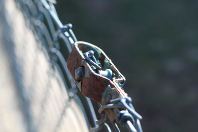 Close-up of bicycle on chain