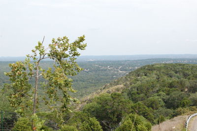 Scenic view of tree mountains against clear sky