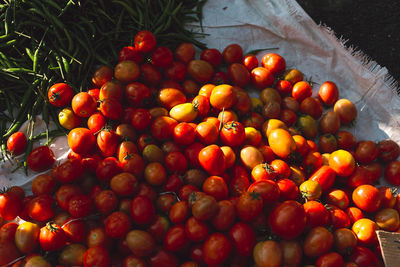 High angle view of fruits for sale