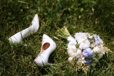 Close-up of flowers