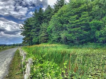 View of country road along trees on landscape