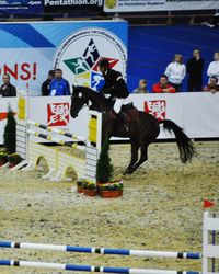 People at shopping cart