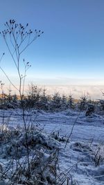 Scenic view of snow covered field against sky at sunset