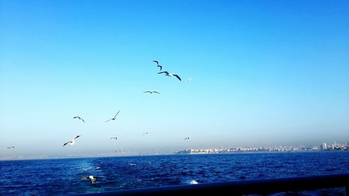 Scenic view of sea against clear sky