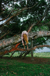 Rear view of woman by tree on field
