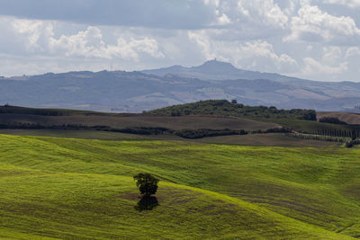 Tuscany landscape