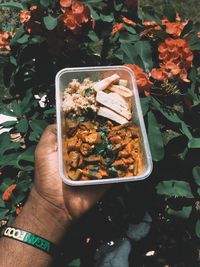 High angle view of person holding food on plant