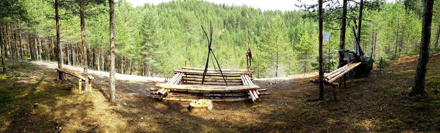 Panoramic shot of campsite in forest