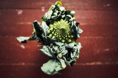 Close-up of vegetables on table