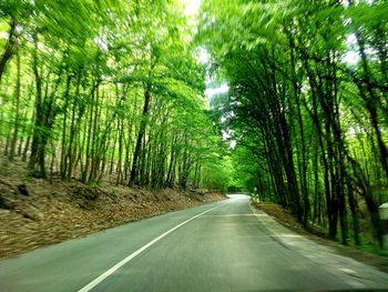 Empty road amidst trees in forest