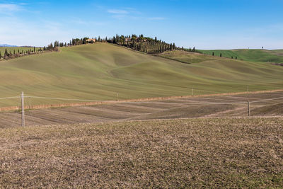 Scenic view of agricultural field against sky
