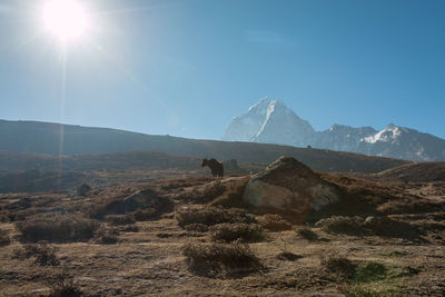 Scenic view of landscape and mountains against sky