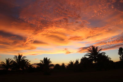 Scenic view of silhouette trees against sky during sunset