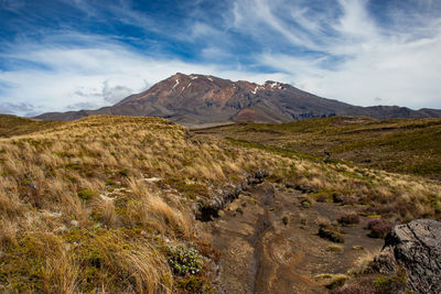 Scenic view of landscape and mountains against sky