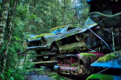Abandoned cars in forest
