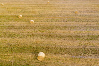 Hay bales on field