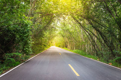 Road amidst trees in forest