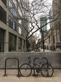 Bicycle parked against bare tree in city