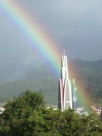 Rainbow over trees