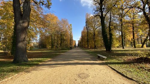 Road amidst trees during autumn