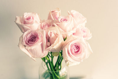 Close-up of rose bouquet against white background