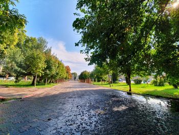 Empty road amidst trees against sky