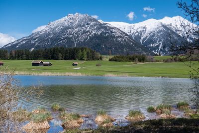 Scenic view of field by lake against sky