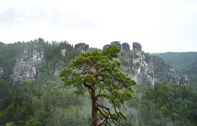 Scenic view of trees and mountains against clear sky