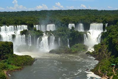 Scenic view of waterfall in forest