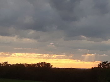 Silhouette trees on field against dramatic sky