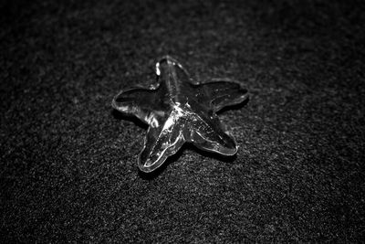 High angle view of artificial starfish on street