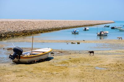 Boats moored in sea