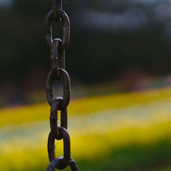 Close-up of chain hanging on field against sky