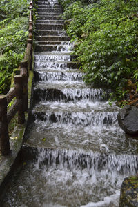 View of river flowing through forest