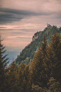 Scenic view of forest against sky during sunset