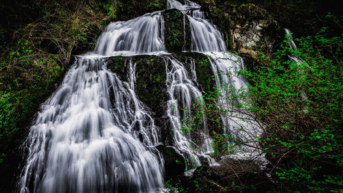 Scenic view of waterfall in forest
